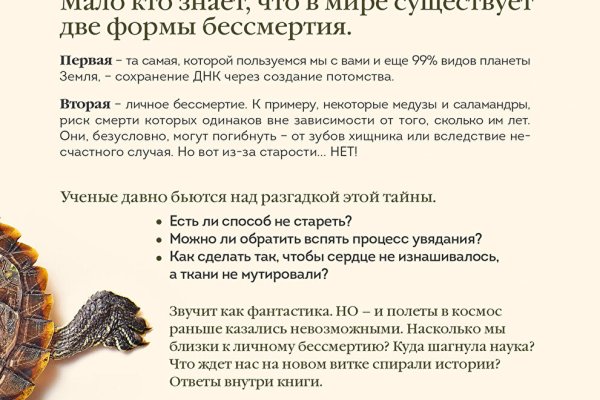 Ссылка на кракен